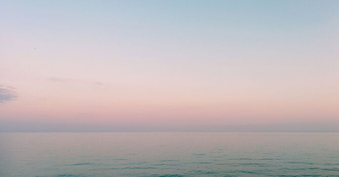 Wellness & Weight Loss Solutions